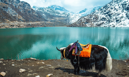 Gangtok, Sikkim