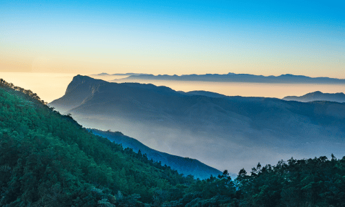 Munnar, Kerala