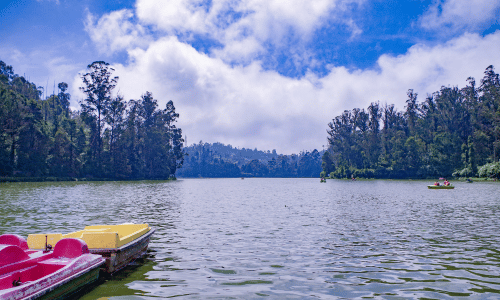 Ooty (Udhagamandalam), Tamil Nadu