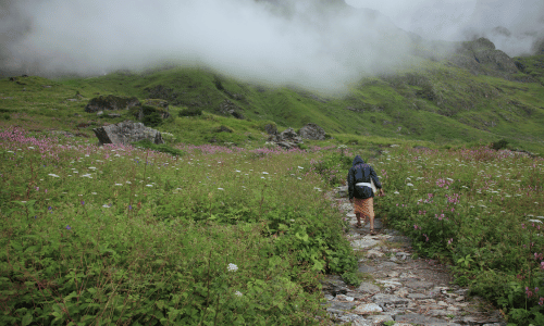 Valley of Flowers, Uttarakhand