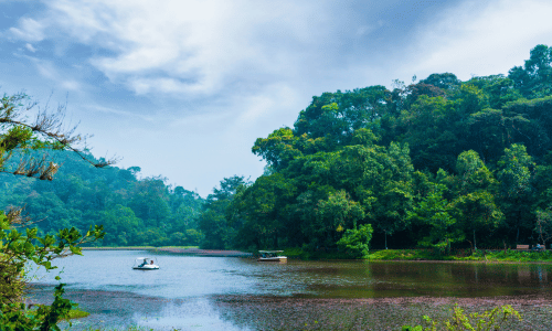 Wayanad, Kerala