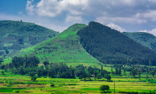Ziro Valley, Arunachal Pradesh