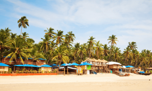 goa (4)